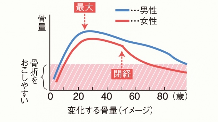 骨密度曲線